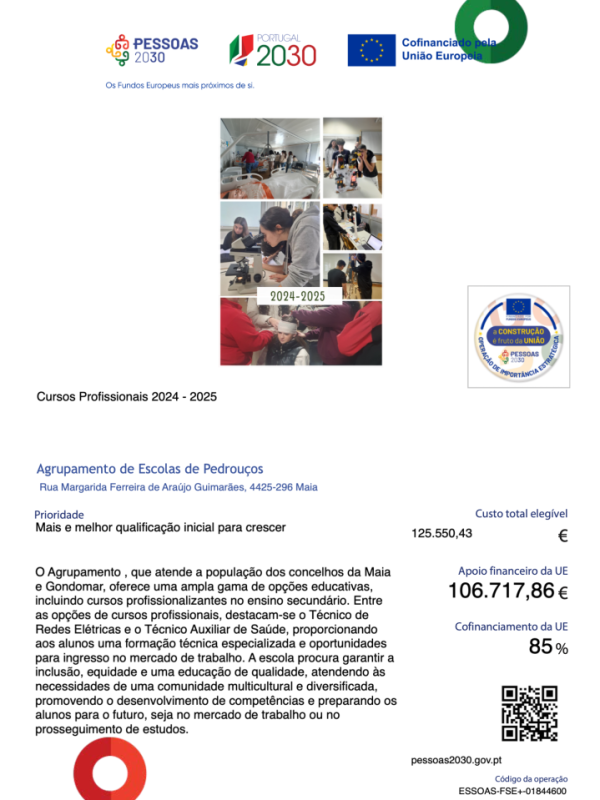 Ficha de Operação Pessoas 2030 | Profissionais 2024-2025